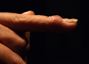 35 - DSC_0015 copy cópia